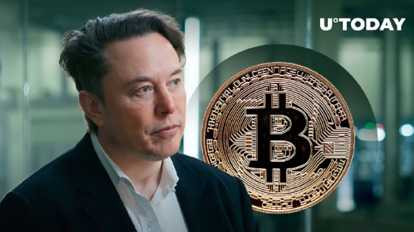 Bitcoin and Elon Musk Have This Stunning Thing In Common: VanEck's Top Exec Bitcoin and Elon Musk Have This Stunning Thing In Common: VanEck's Top Exec