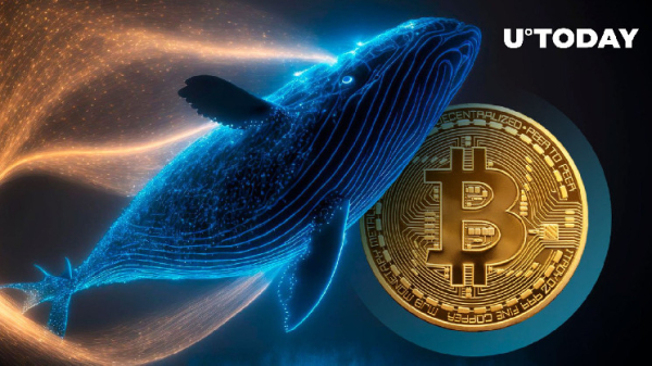 Bitcoin (BTC) Whale Wallets Show Intriguing but Contrasting Trends Bitcoin (BTC) Whale Wallets Show Intriguing but Contrasting Trends