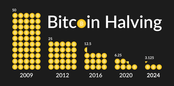 Bitcoin 2024 price prediction as halving hype heats up Bitcoin 2024 price prediction as halving hype heats up