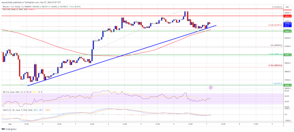 Bitcoin Price Signals Uptrend Continuation But Patience Is The Key Bitcoin Price Signals Uptrend Continuation But Patience Is The Key