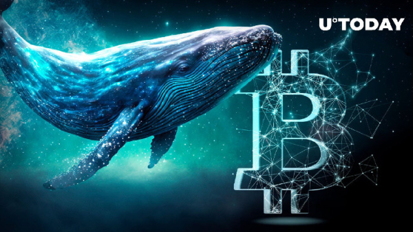 Ancient Bitcoin Whales Suddenly Awake After 10.7 Years With 49,274.2% Profit Ancient Bitcoin Whales Suddenly Awake After 10.7 Years With 49,274.2% Profit