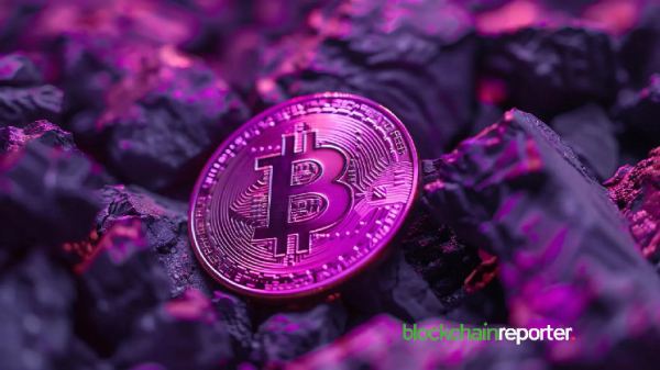 Current Bitcoin Bull Cycle Sees Lower Short-Term Money Inflow Than Previous Highs Current Bitcoin Bull Cycle Sees Lower Short-Term Money Inflow Than Previous Highs